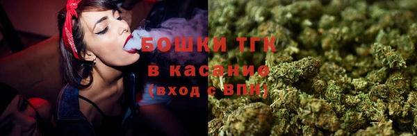 стаф Видное