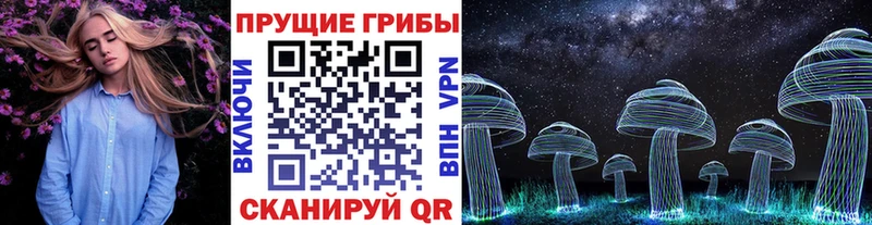 цена наркотик  маркетплейс какой сайт  Галлюциногенные грибы Psilocybe  Ростов 